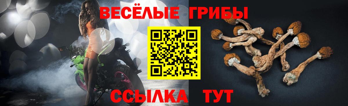 Псилоцибиновые грибы Psilocybe  Вход с VPN  Галлюциногенные грибы Cubensis  Красноперекопск 